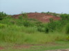 Red Dirt of Southern Guam